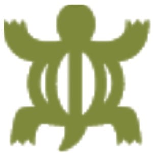 TW-website-icon